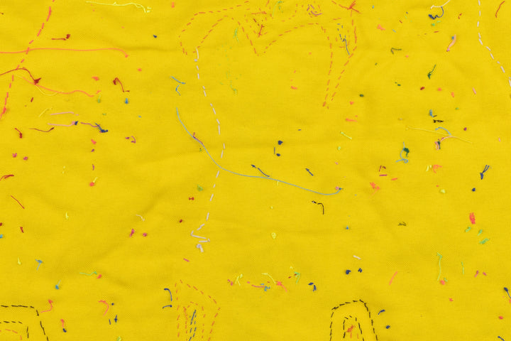 Gossip Parrot Bird Mola