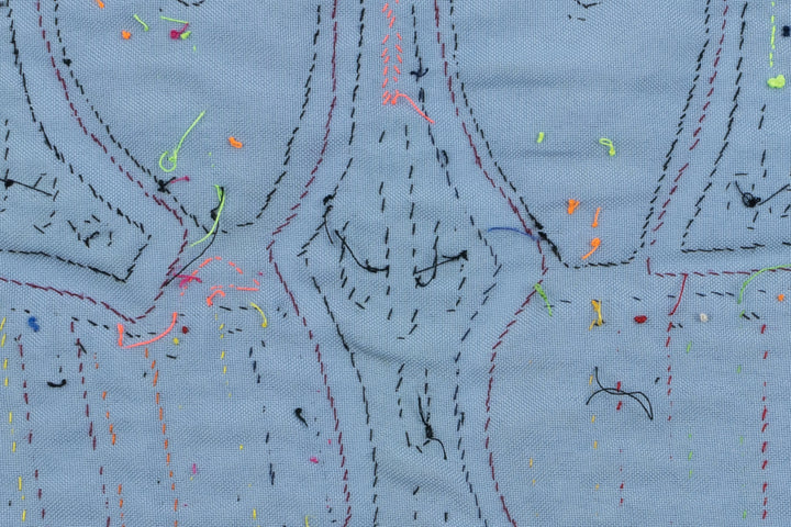 Handmade Blue Goose Panama Mola