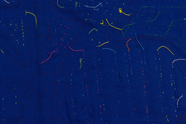 Blue Duckling Duck Mola