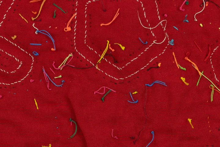 Two Big Nose Bird Panama Mola