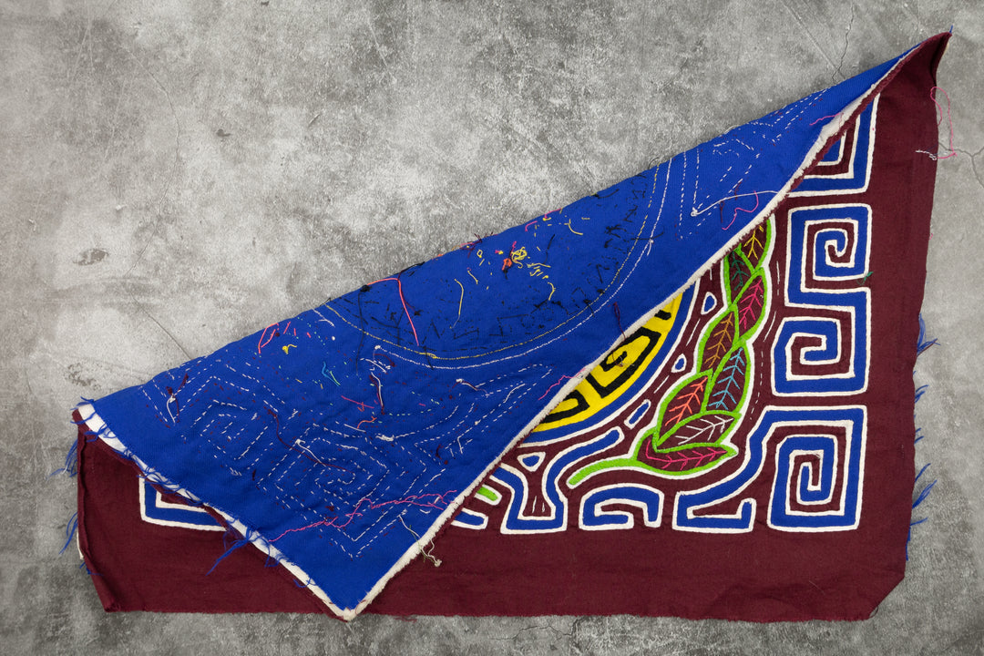 Education for a Better Future Mola