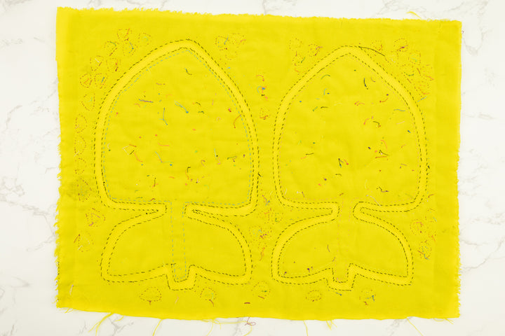 Mango Fruit Panama Mola