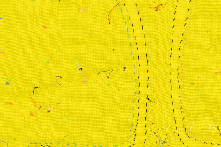 Mango Fruit Panama Mola