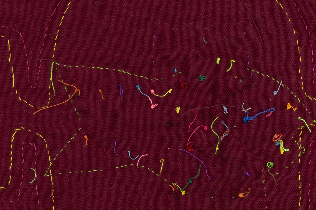 Fish Aquarium Panama Mola