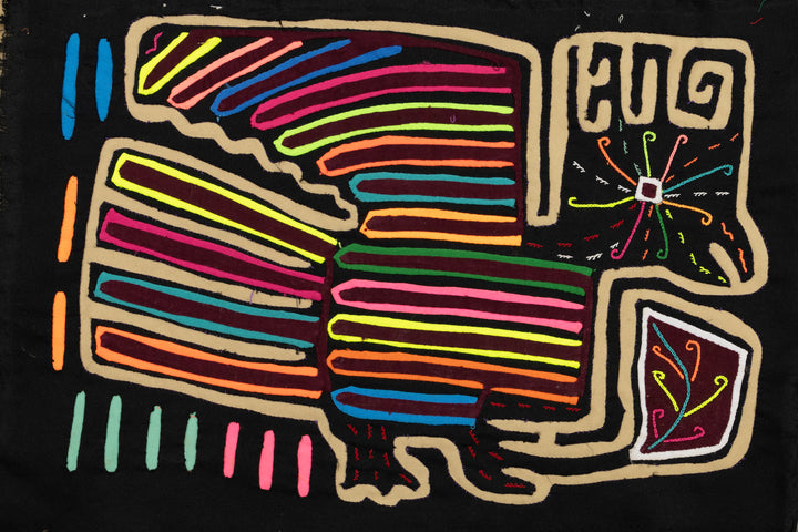 Arizona Roadrunner Mola