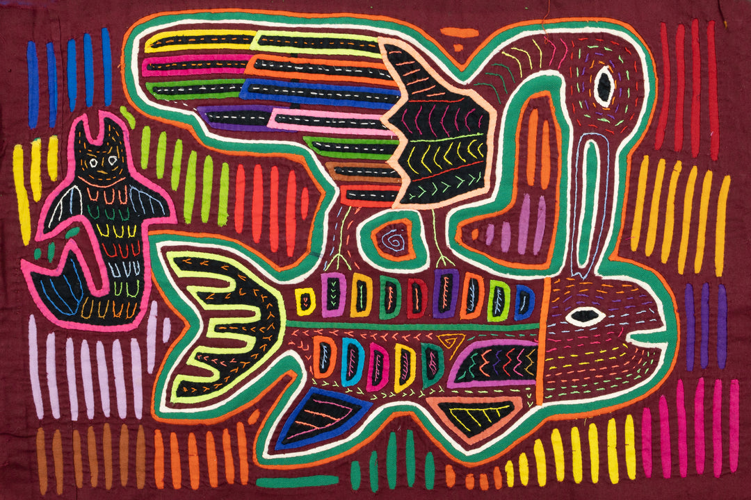 Chicken Hawk Fish Snatcher Mola