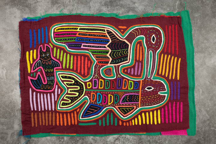 Chicken Hawk Fish Snatcher Mola