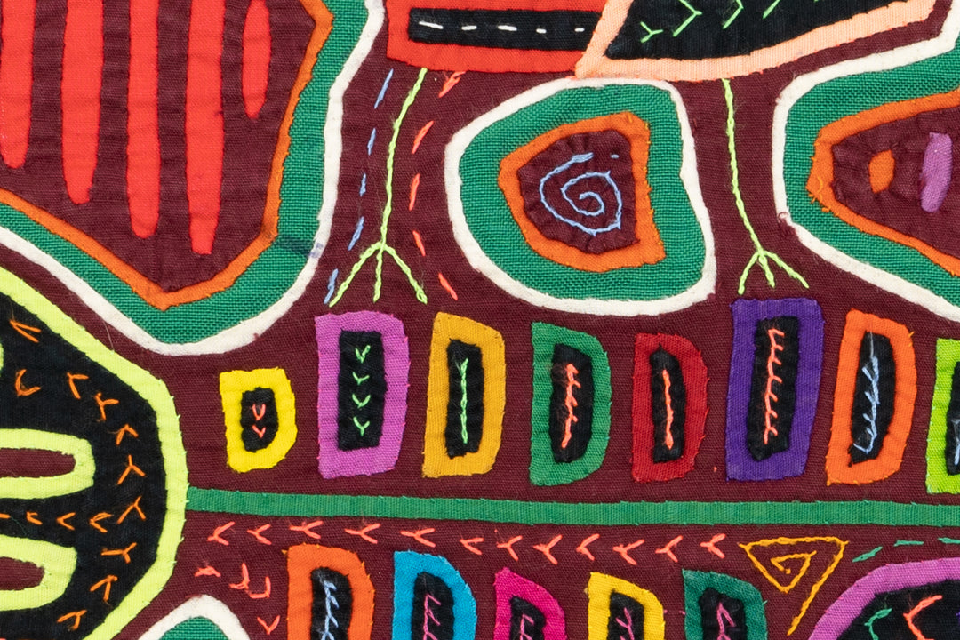 Chicken Hawk Fish Snatcher Mola