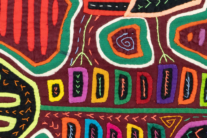 Chicken Hawk Fish Snatcher Mola