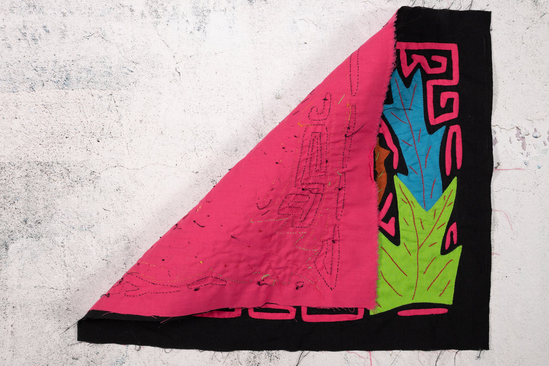 Shrimp Lobster Crustacean Mola