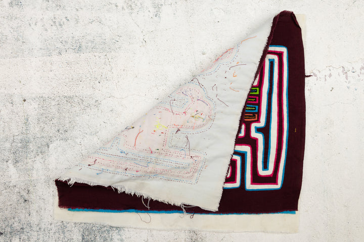 Bent Beak Gossip Bird Panama Mola