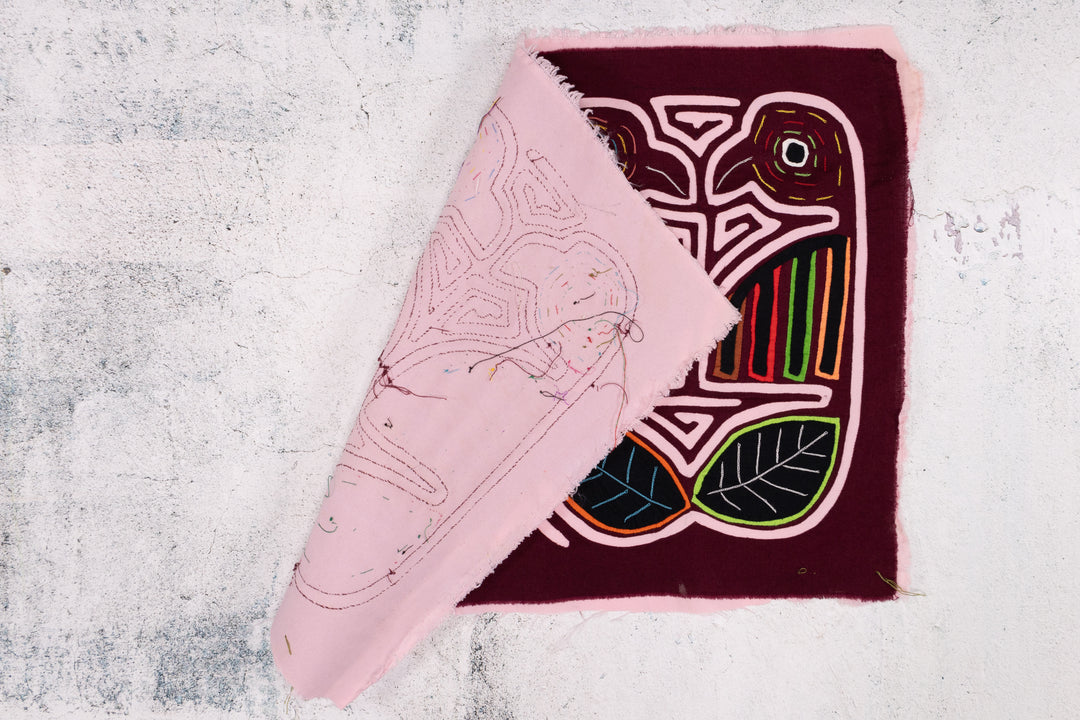 Maroon Lovebird Mola
