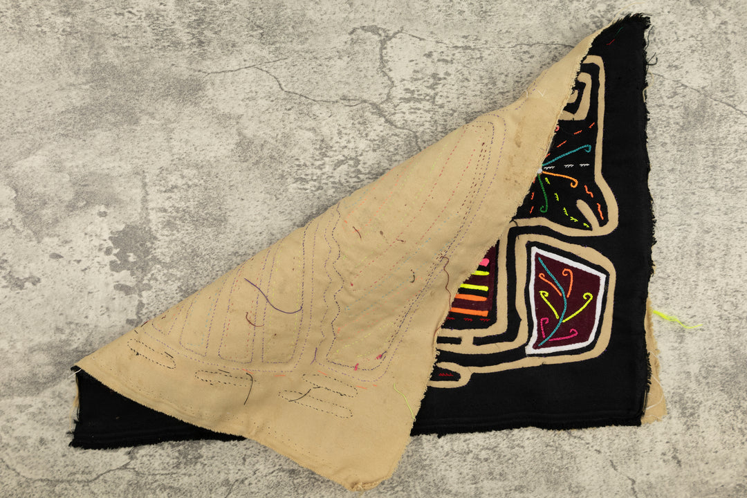 Arizona Roadrunner Mola