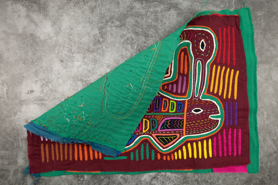 Chicken Hawk Fish Snatcher Mola