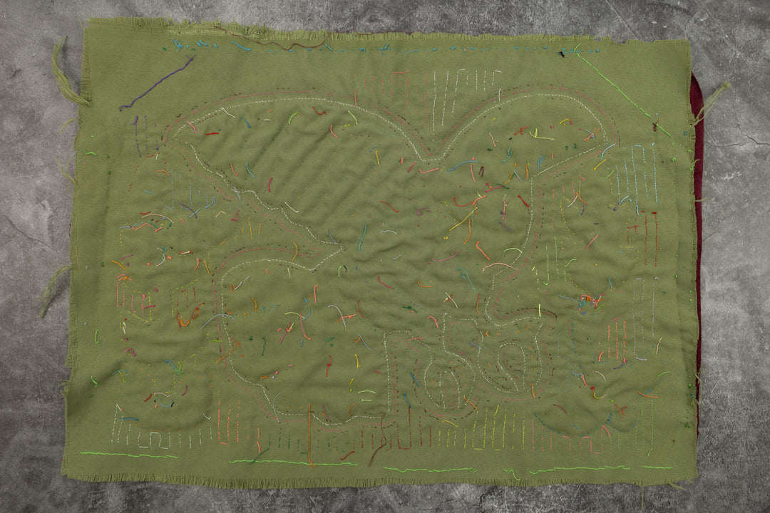 Toucan in Flight Mola