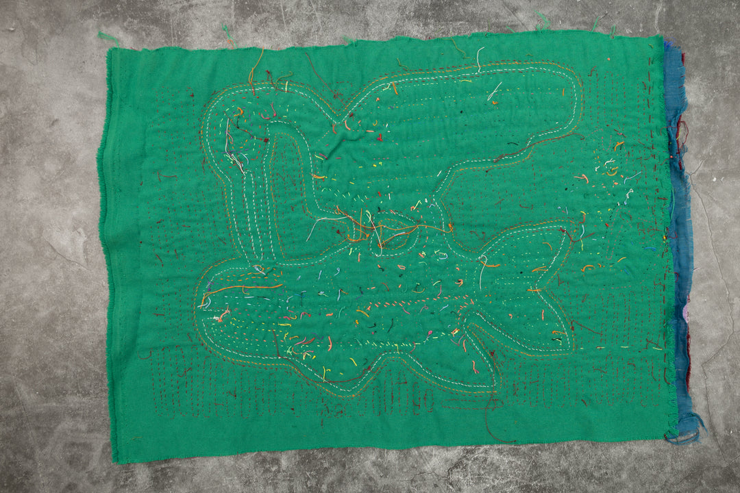 Chicken Hawk Fish Snatcher Mola