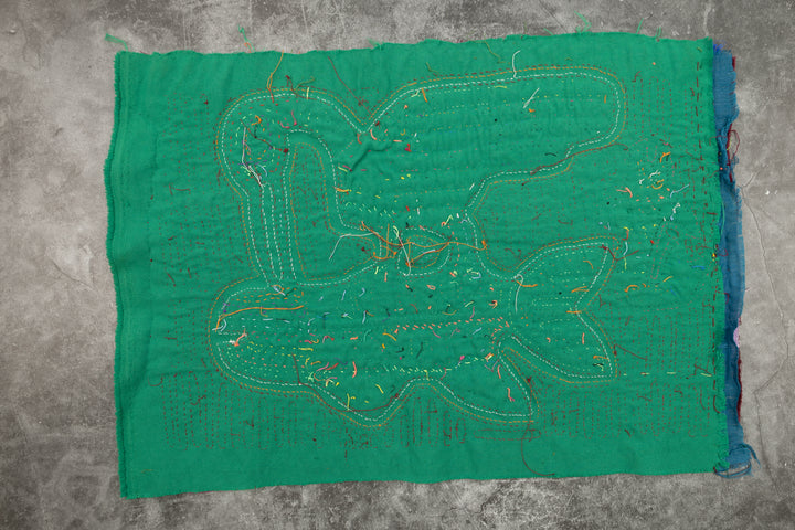 Chicken Hawk Fish Snatcher Mola