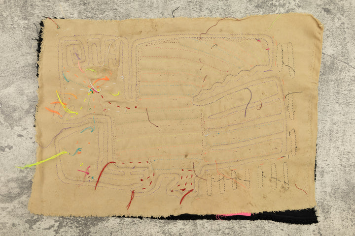 Arizona Roadrunner Mola