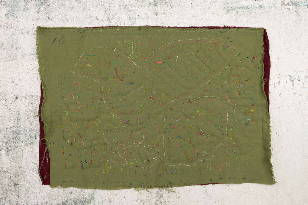 Toucan Parrot in Flight Panama Mola