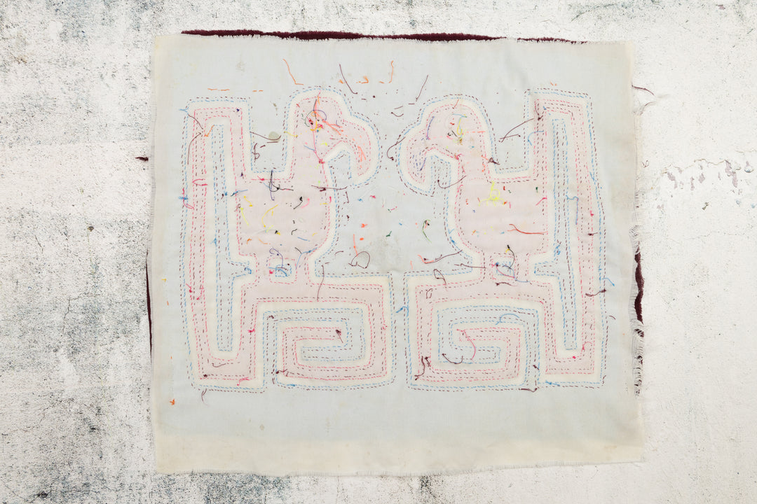 Bent Beak Gossip Bird Panama Mola