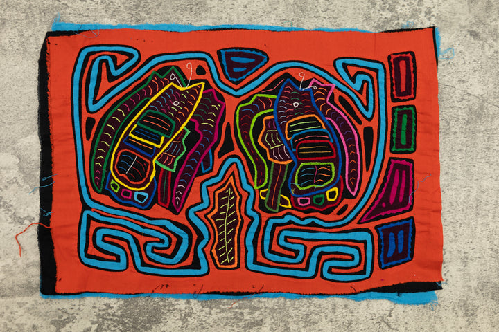 Weird Wing Butterfly Mola