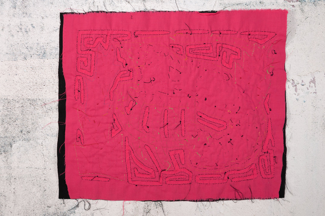 Shrimp Lobster Crustacean Mola