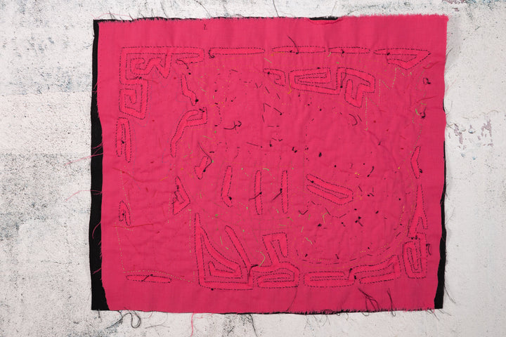 Shrimp Lobster Crustacean Mola