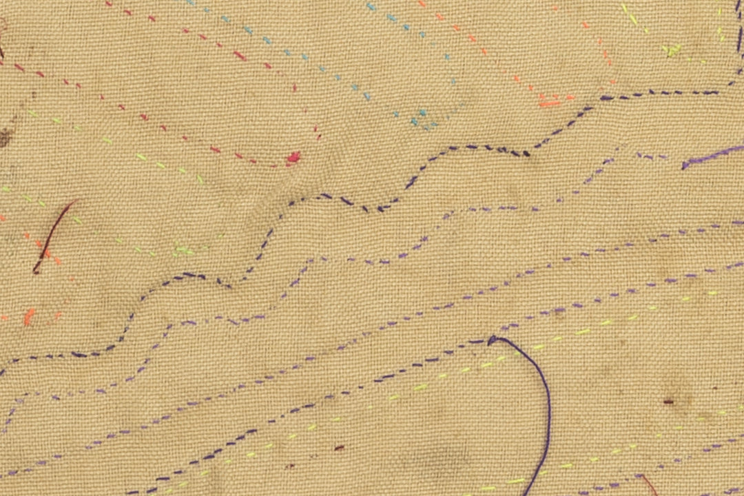 Arizona Roadrunner Mola