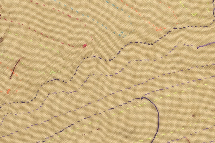 Arizona Roadrunner Mola