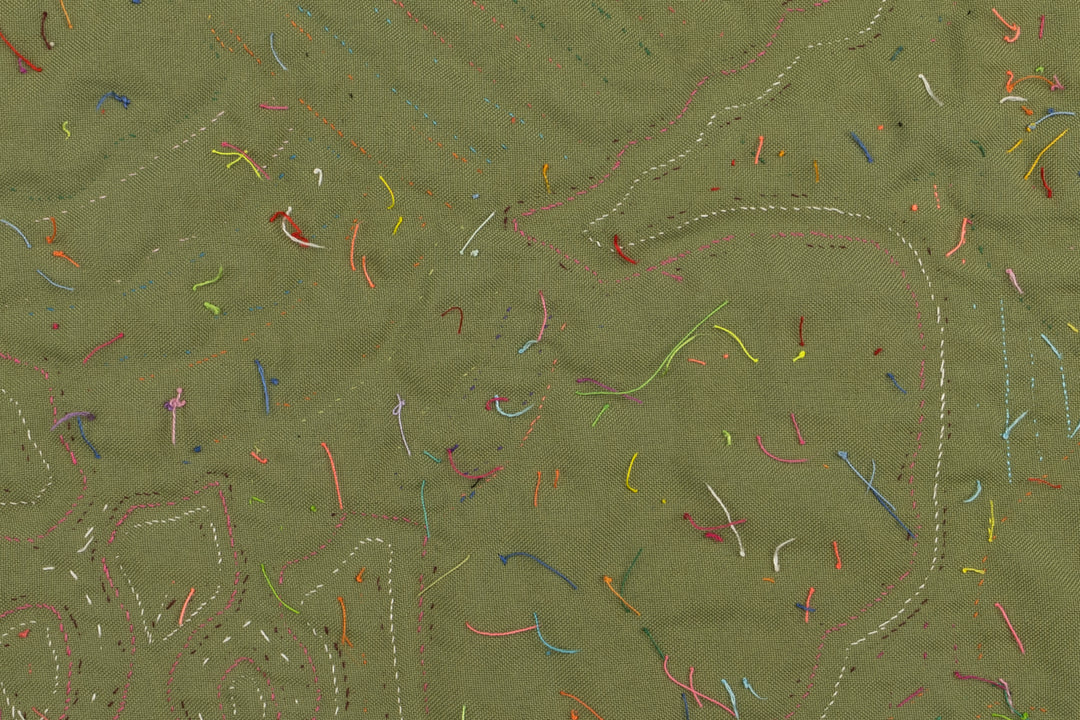 Toucan Parrot in Flight Panama Mola