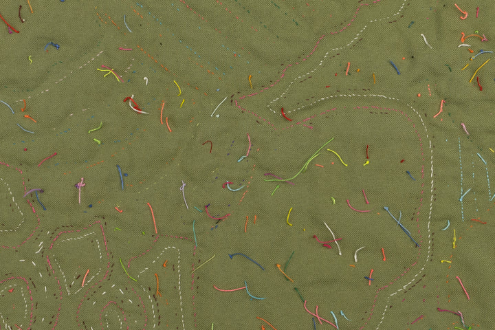 Toucan Parrot in Flight Panama Mola