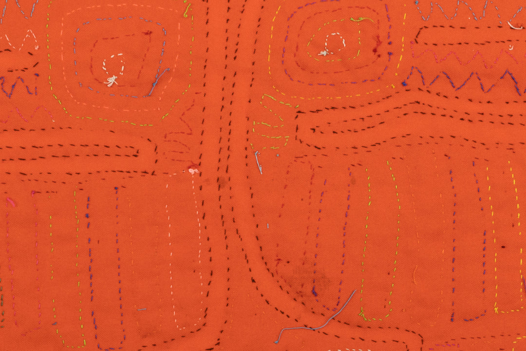 Toucan Parrot Bird Mola