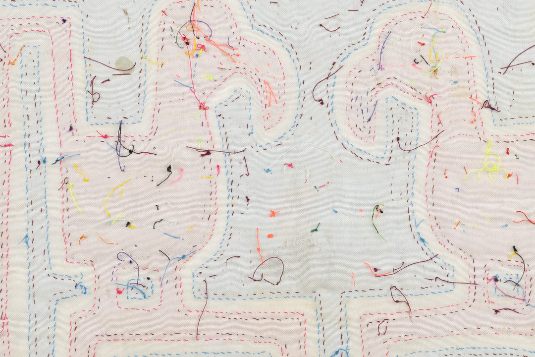 Bent Beak Gossip Bird Panama Mola