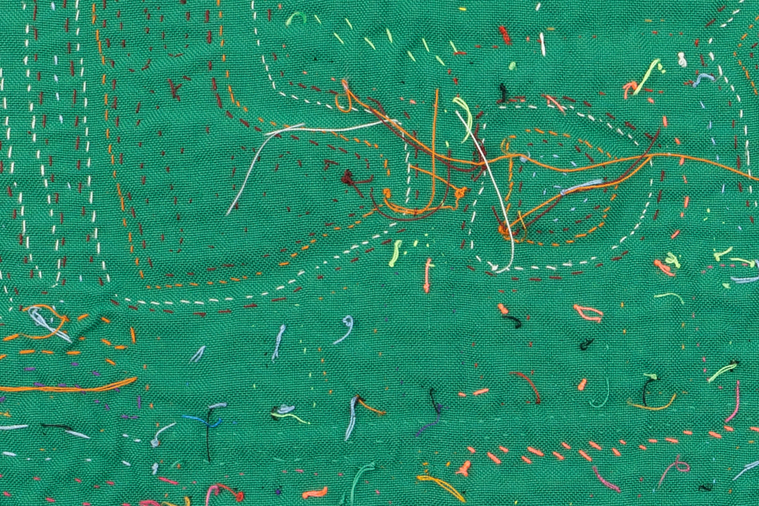 Chicken Hawk Fish Snatcher Mola