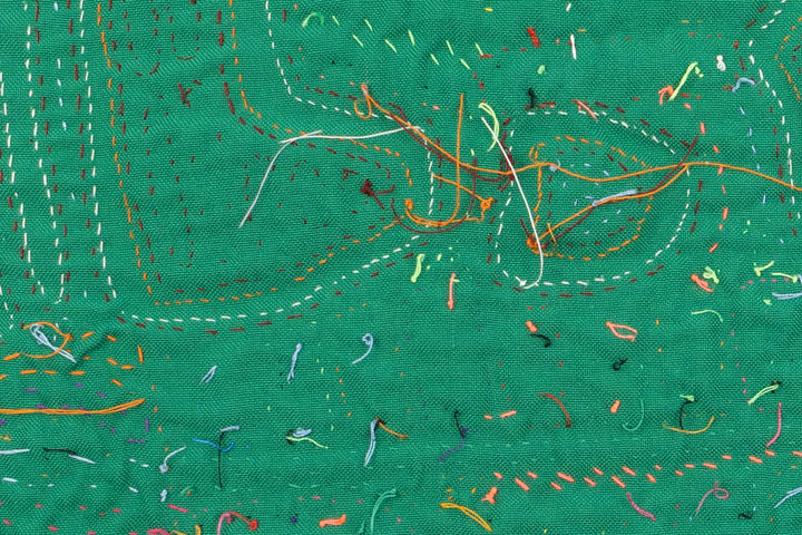 Chicken Hawk Fish Snatcher Mola