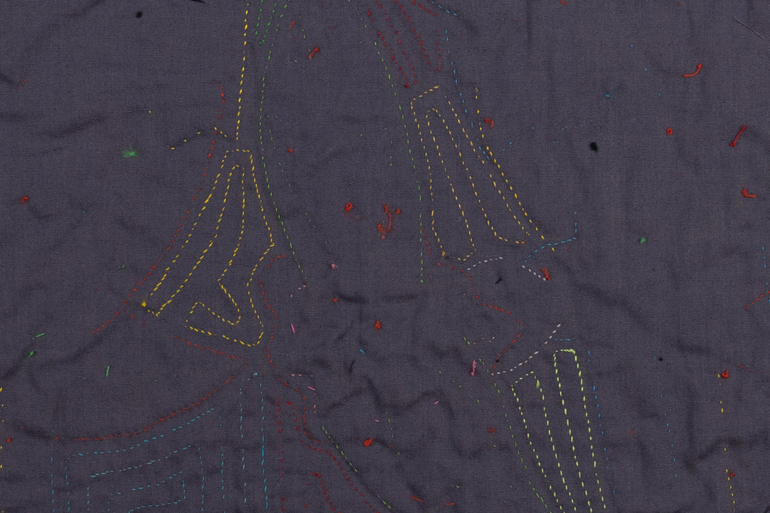 Blue Macaw Parrot Panama Mola