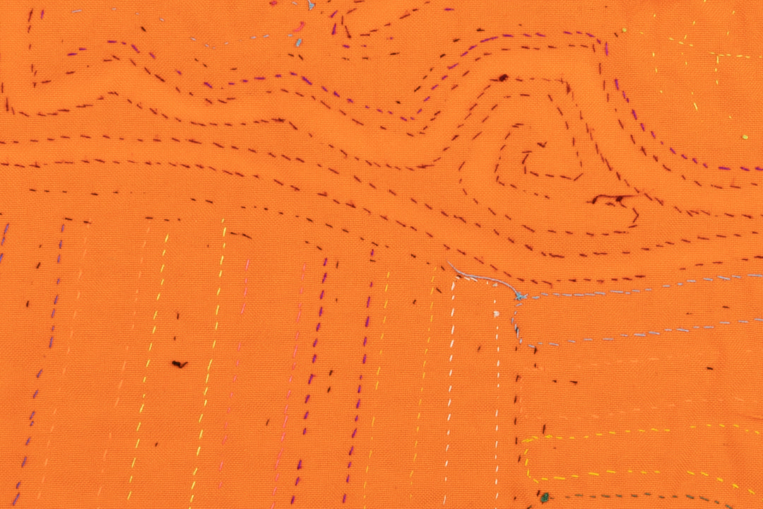 Rainforest Critter Panama Mola