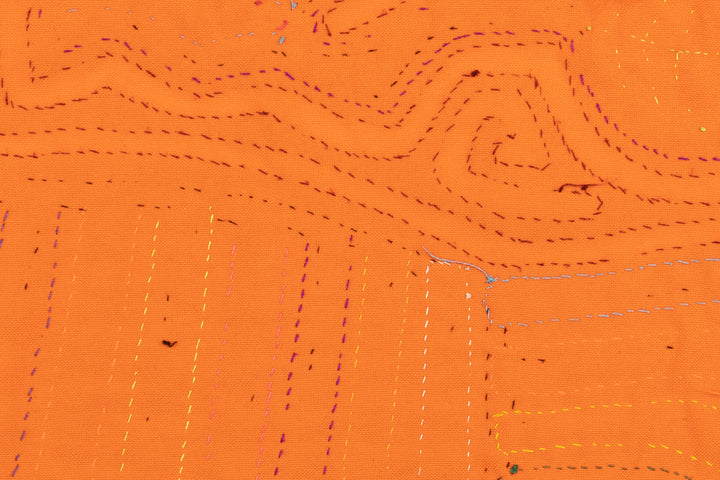 Rainforest Critter Panama Mola