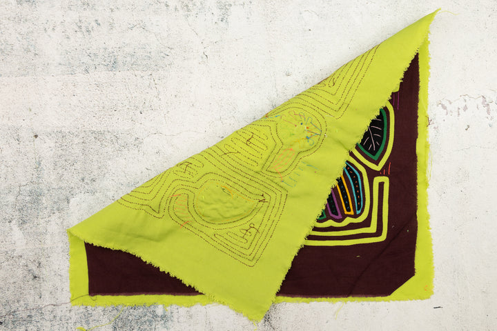 Heron Waterbird Panama Mola