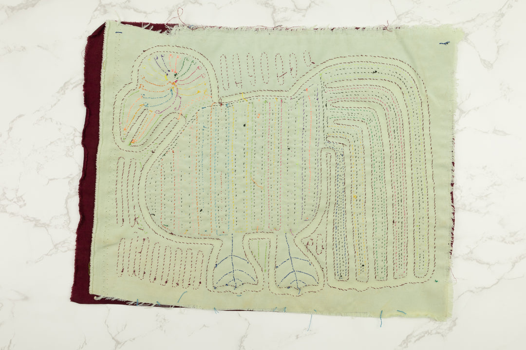 Rainbow Tail Panama Mola