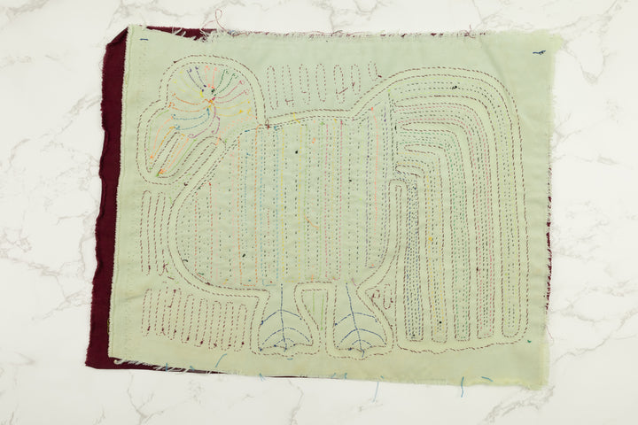 Rainbow Tail Panama Mola