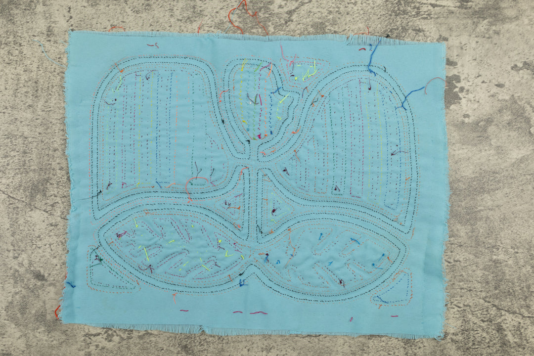 Rainbow Bird Wings Mola