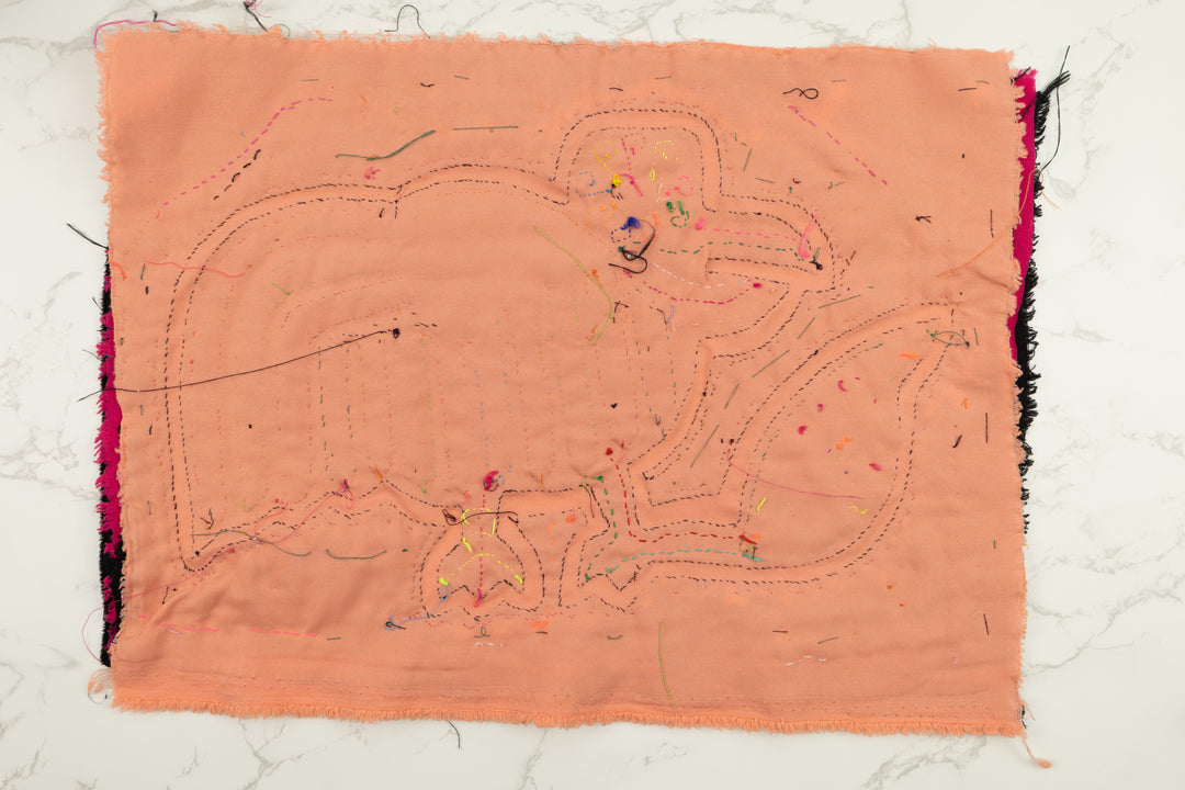 Rainbow Bird Panama Mola