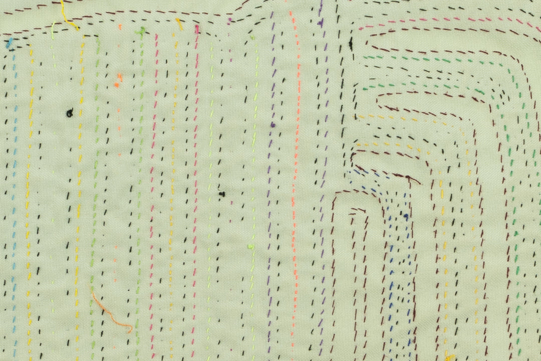 Rainbow Tail Panama Mola