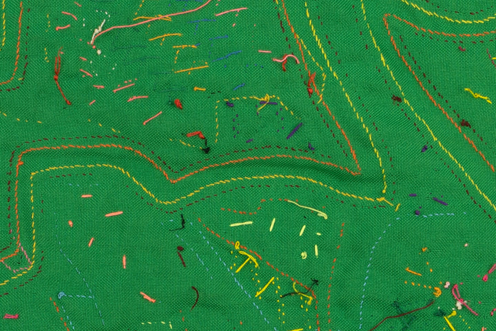 Duckling Panama Mola