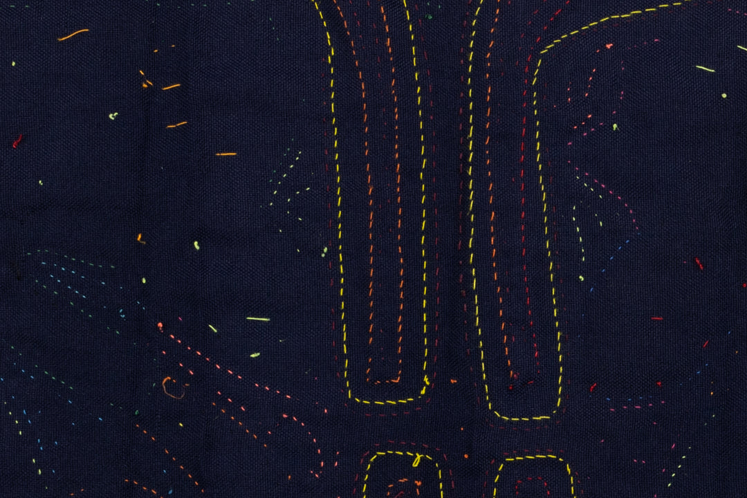 Goose in Bonnet Panama Mola