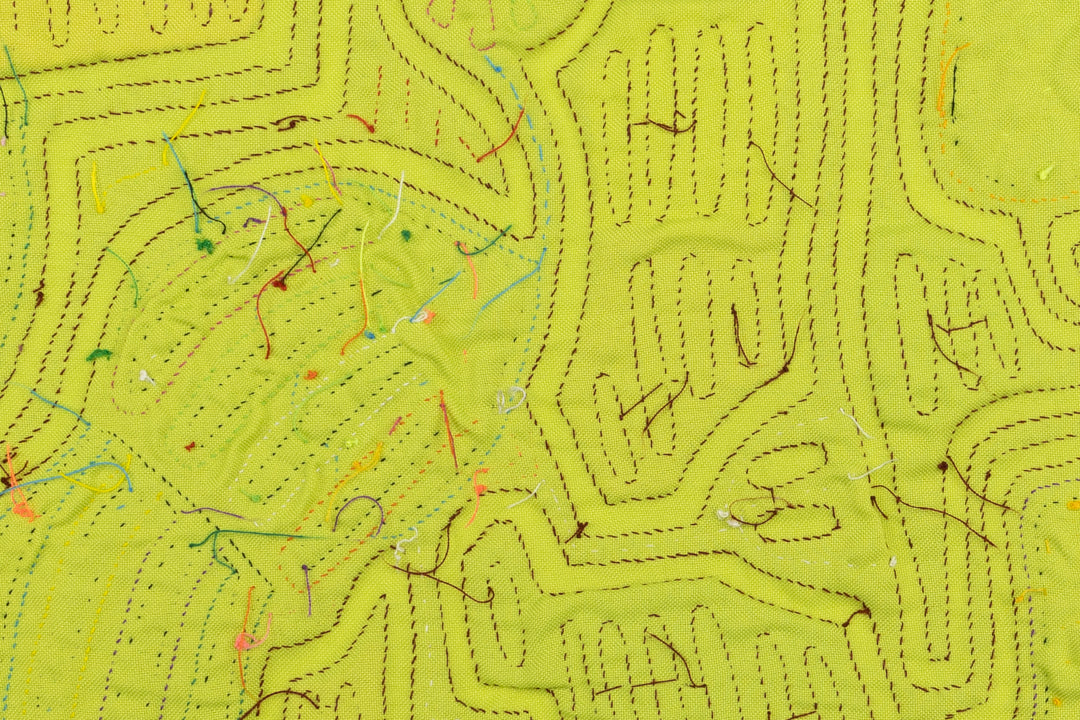 Heron Waterbird Panama Mola