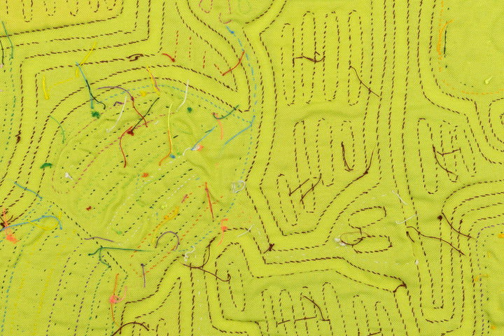 Heron Waterbird Panama Mola