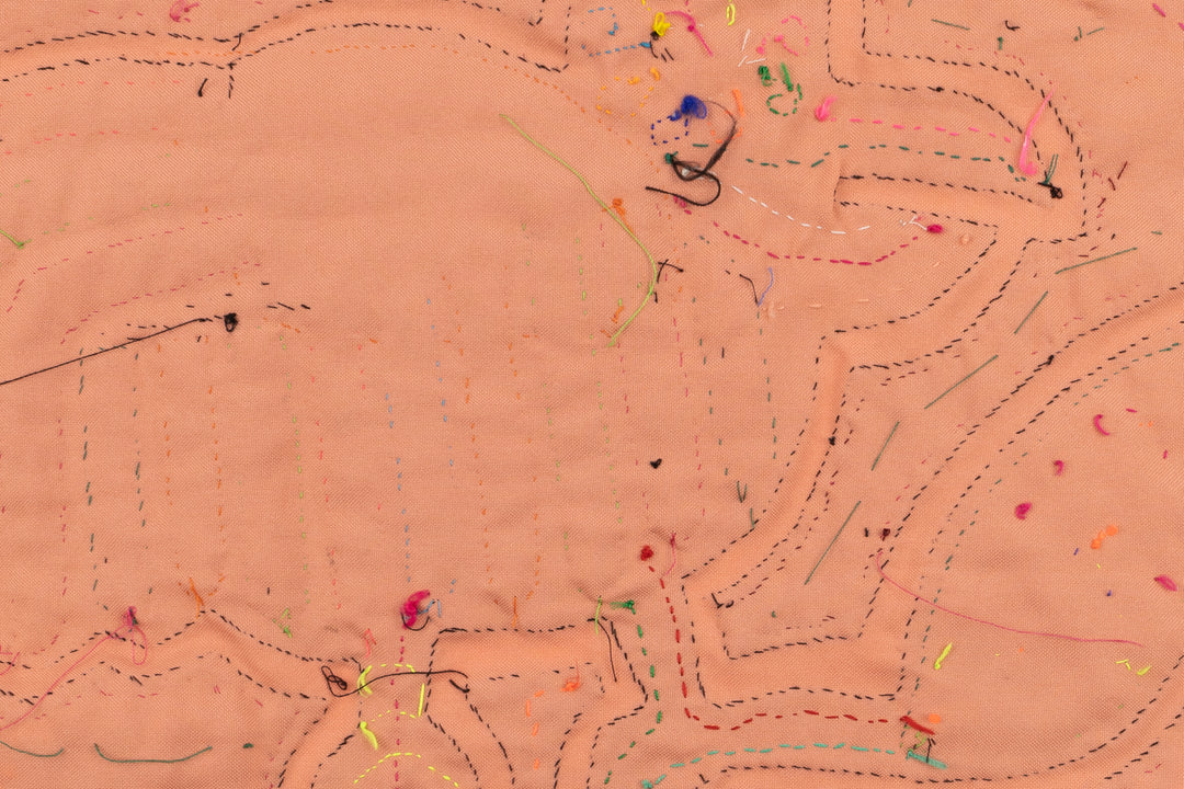 Rainbow Bird Panama Mola