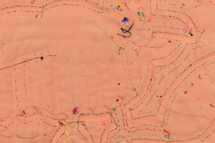 Rainbow Bird Panama Mola